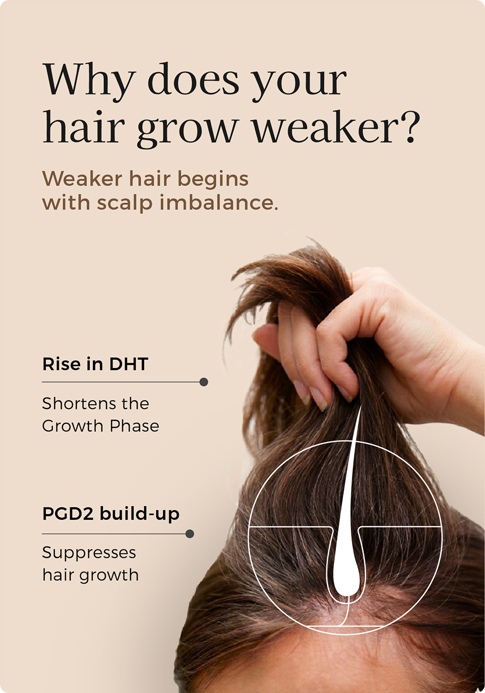 RAVALLI Hair Growth Hydroserum